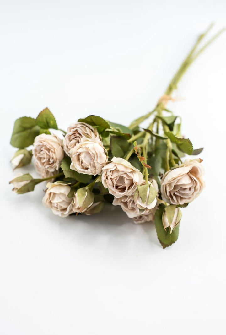 Candlelight rose bundle - Greenery Market27928