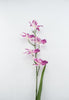 Cattleya orchid Flower spray - pink - Greenery MarketArtificial Flora6217-BT