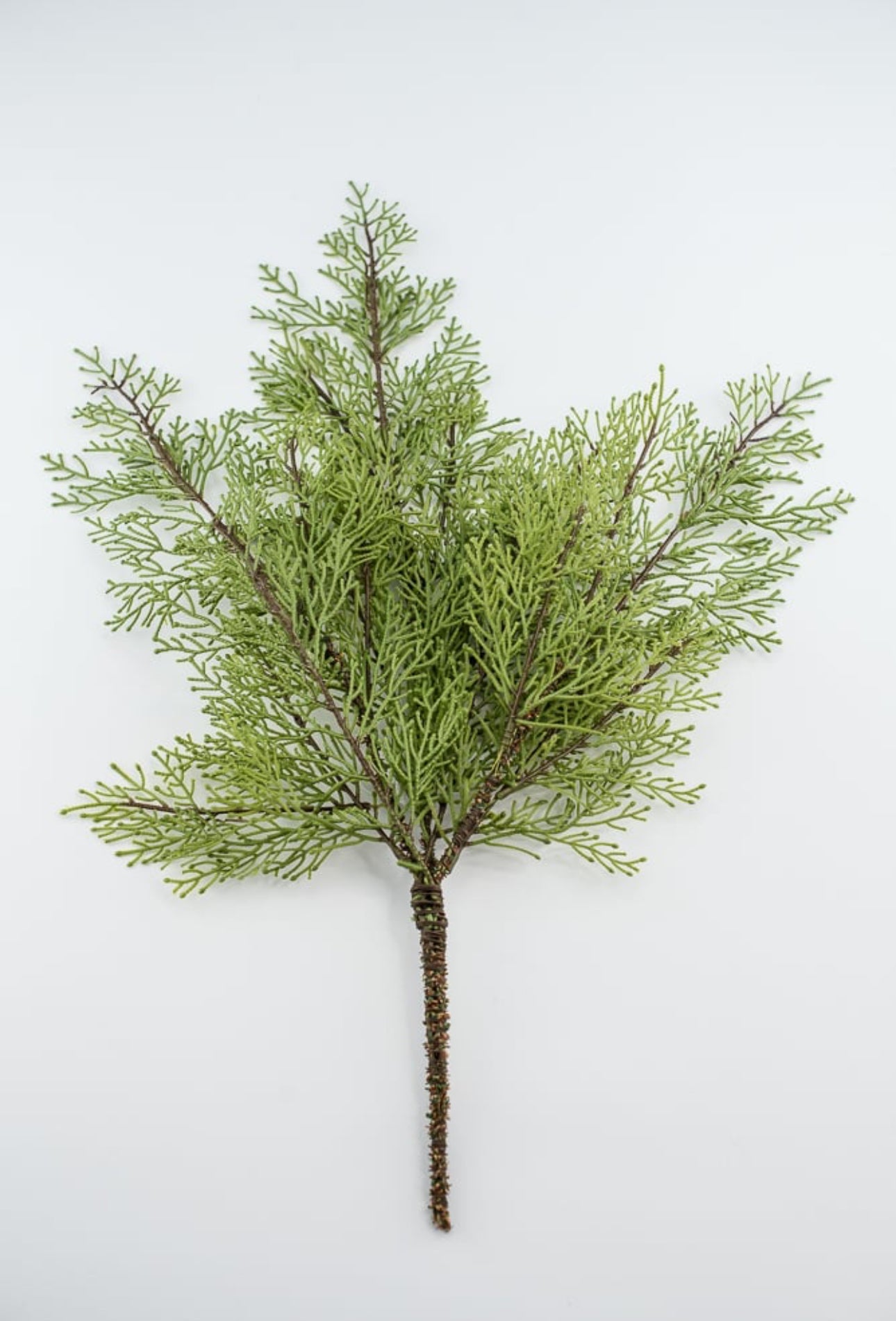Cedar evergreen spray - Greenery Market
