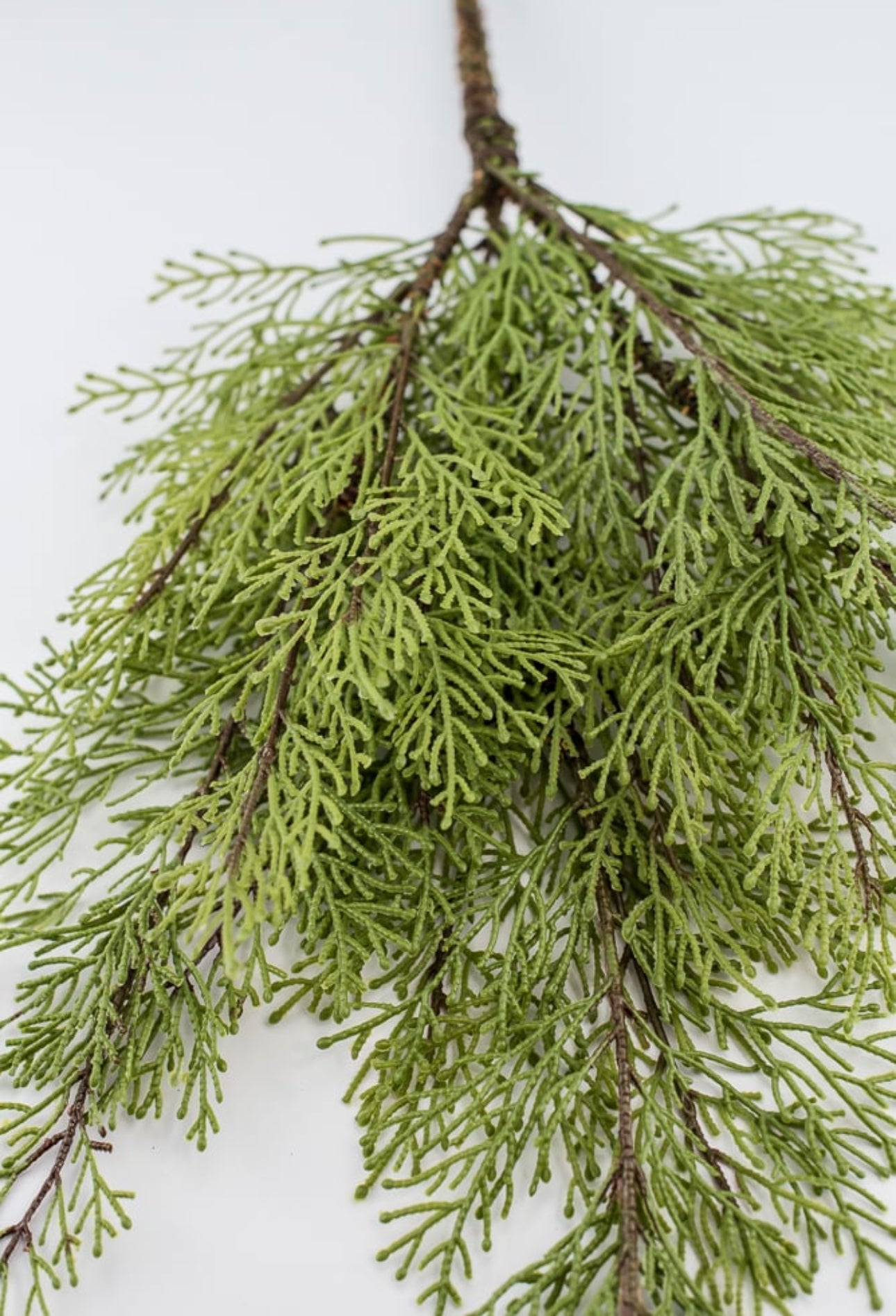 Cedar evergreen spray - Greenery Market