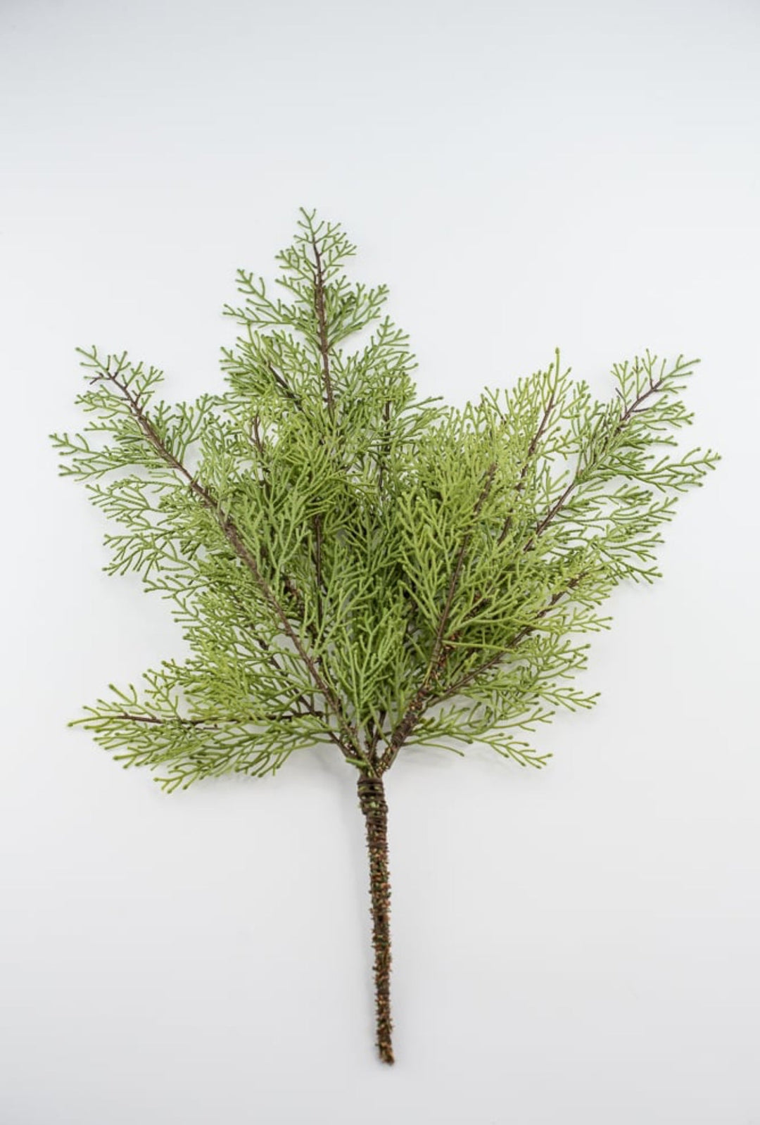 Cedar evergreen bush - Greenery Market2825253GR