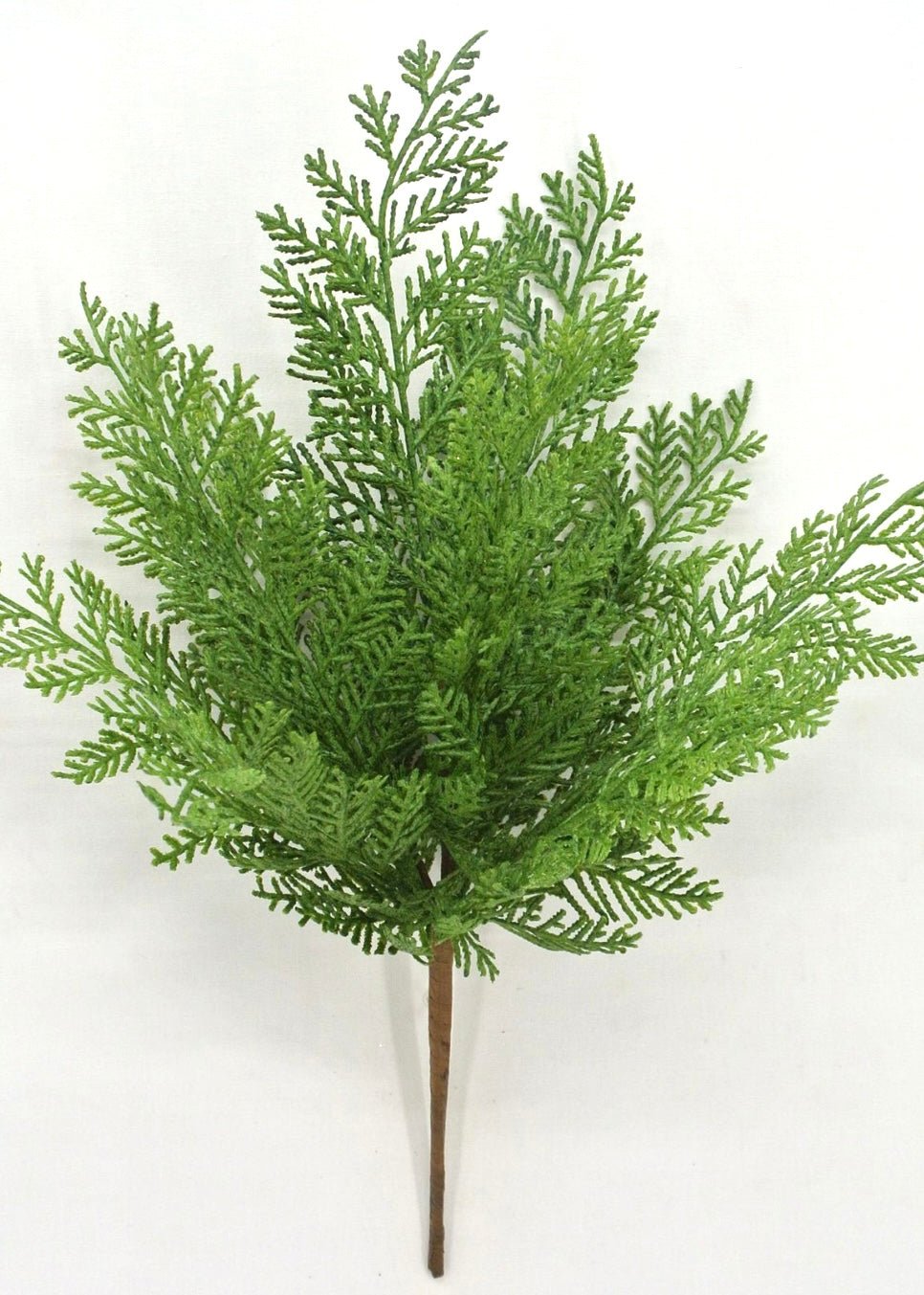 Cedar evergreen bush - Greenery Market84381