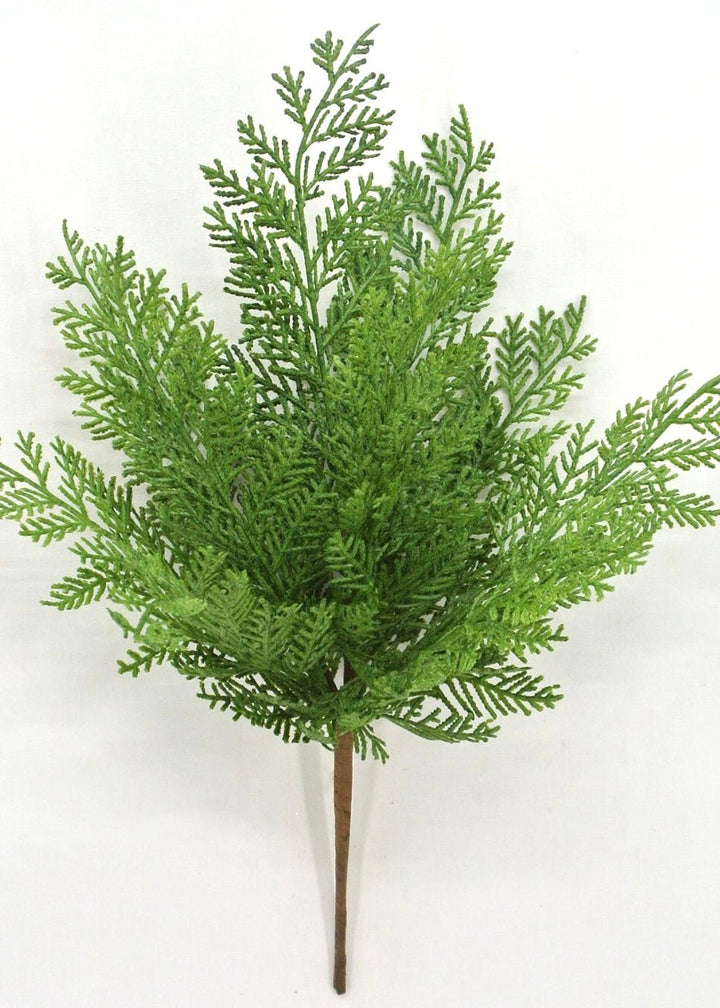 Cedar evergreen bush - Greenery Market84381