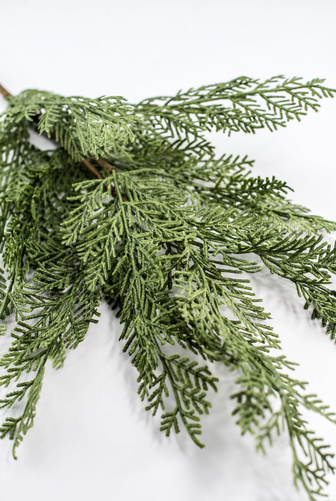 Cedar evergreen spray - Greenery Market84380