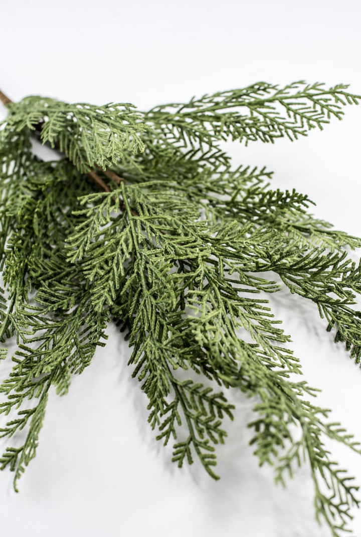 Cedar evergreen spray - Greenery Market84380