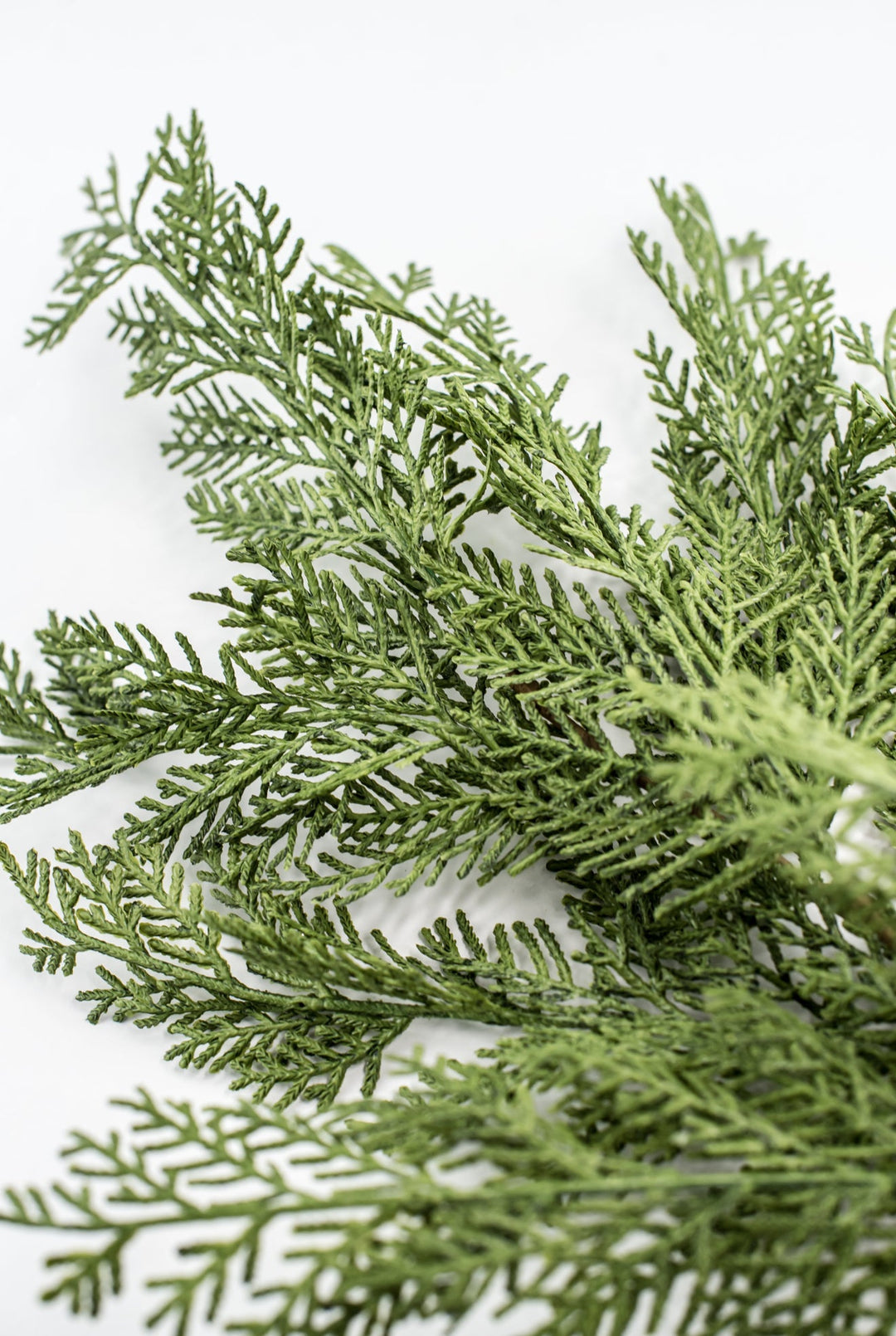 Cedar evergreen spray - Greenery Market84380