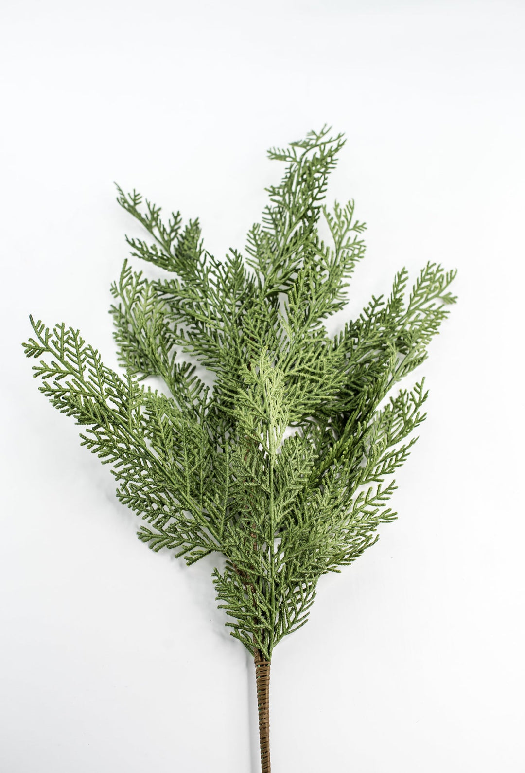 Cedar evergreen spray - Greenery Market84380