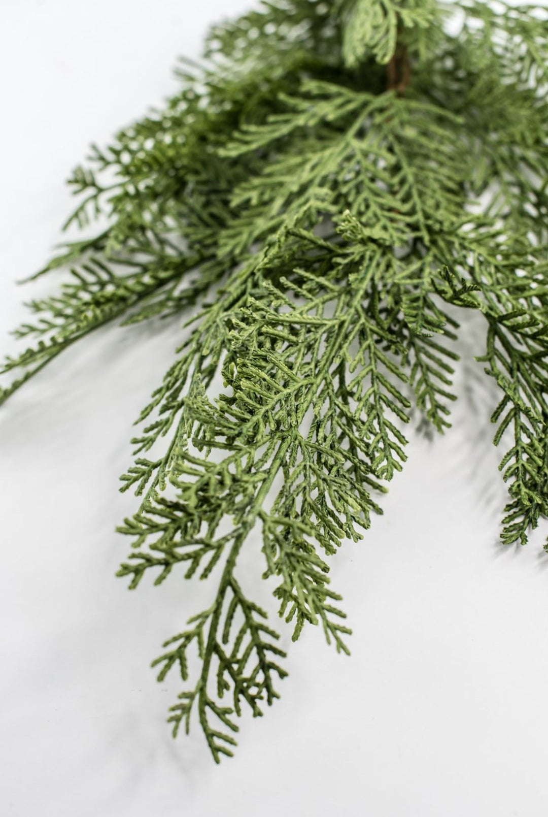 Cedar evergreen spray - Greenery Market84380