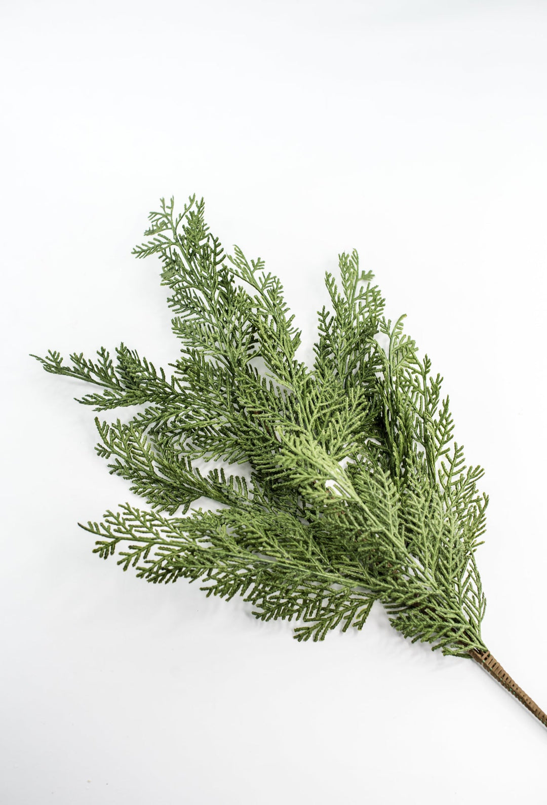 Cedar evergreen spray - Greenery Market84380