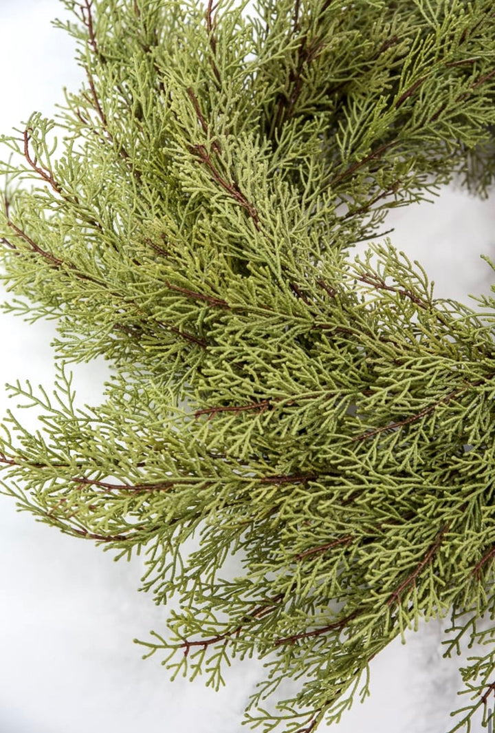 Cedar greenery wreath, 26” - Greenery Marketwreath base & containersX1905 - G