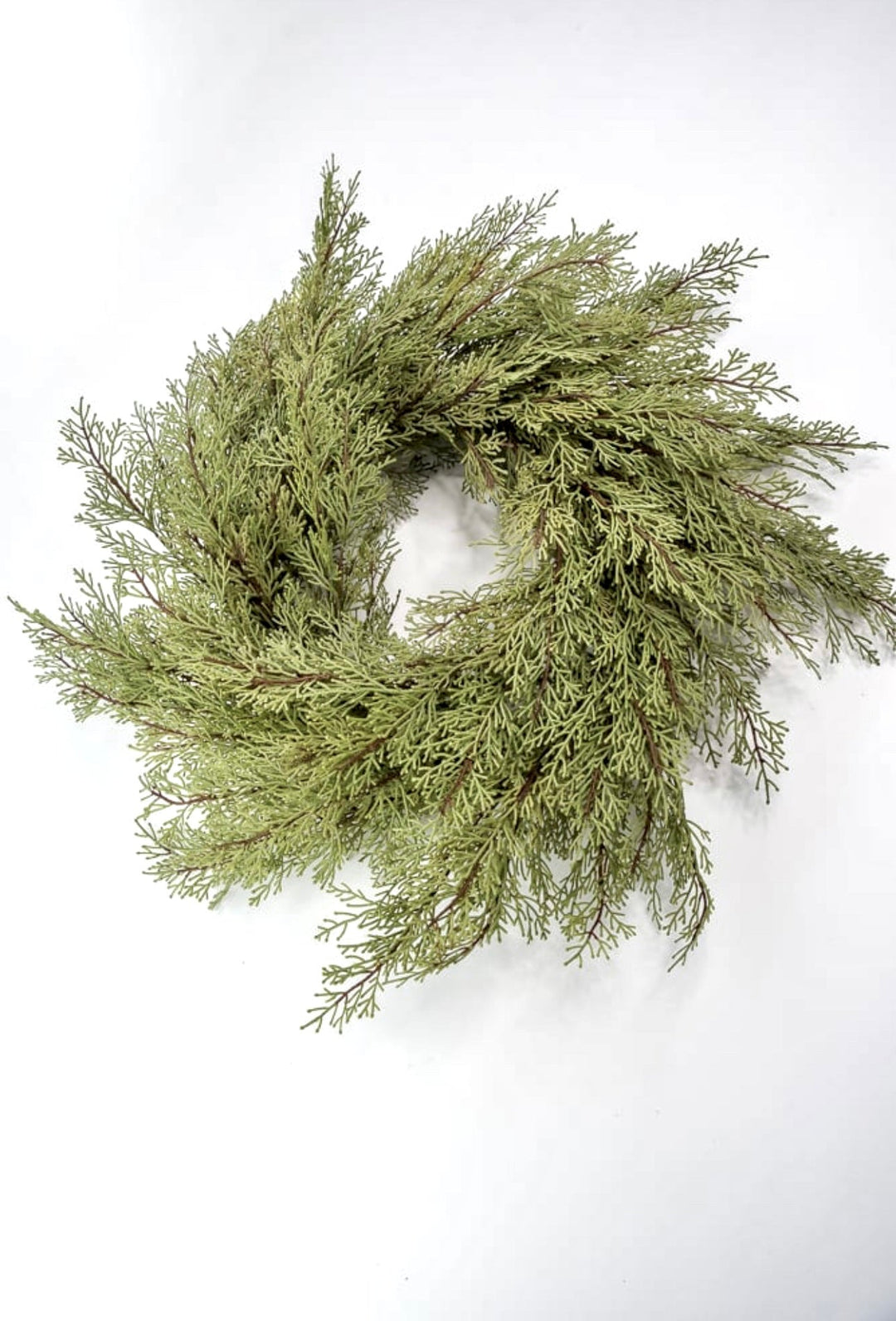 Cedar greenery wreath, 26” - Greenery Marketwreath base & containersX1905 - G