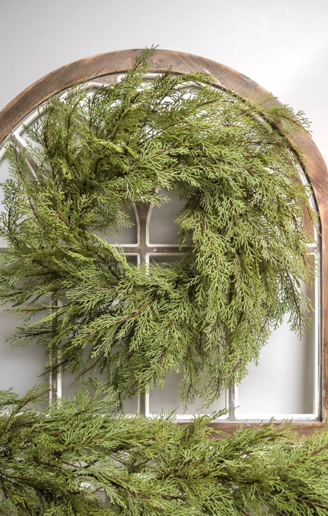 Cedar greenery wreath, 26” - Greenery Marketwreath base & containersX1905 - G