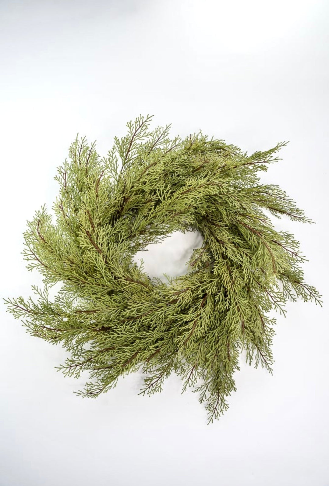 Cedar greenery wreath, 26” - Greenery Marketwreath base & containersX1905 - G