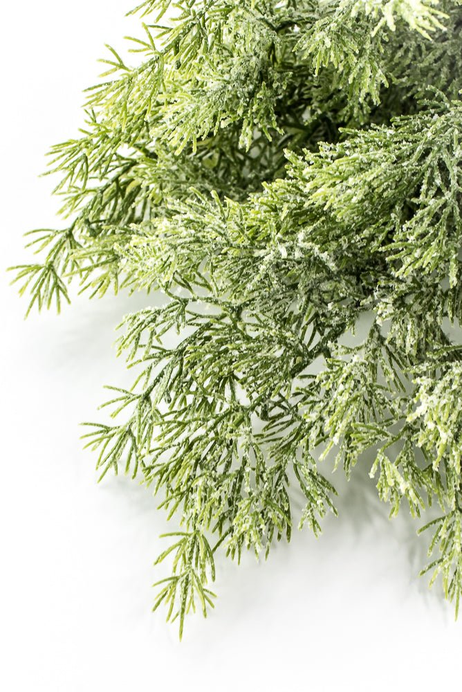 Cedar Iced Bush - Greenery Market85258