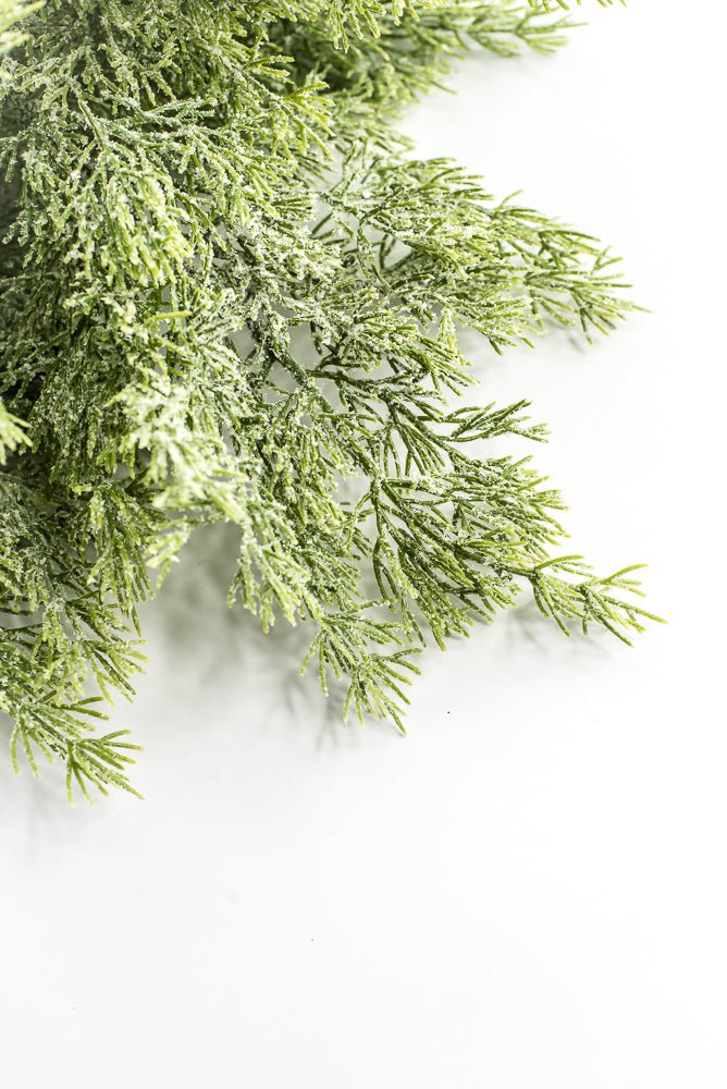 Cedar Iced Bush - Greenery Market85258