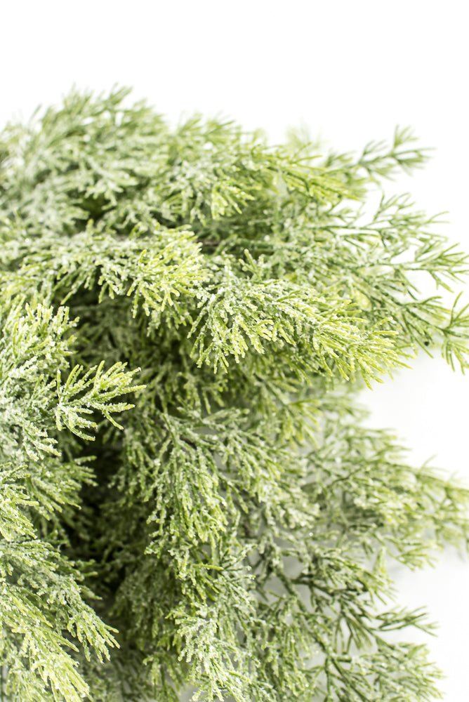 Cedar Iced Bush - Greenery Market85258