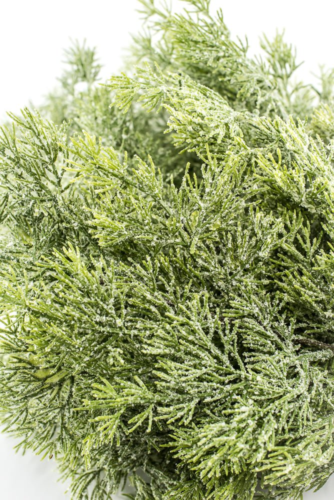 Cedar Iced Bush - Greenery Market85258
