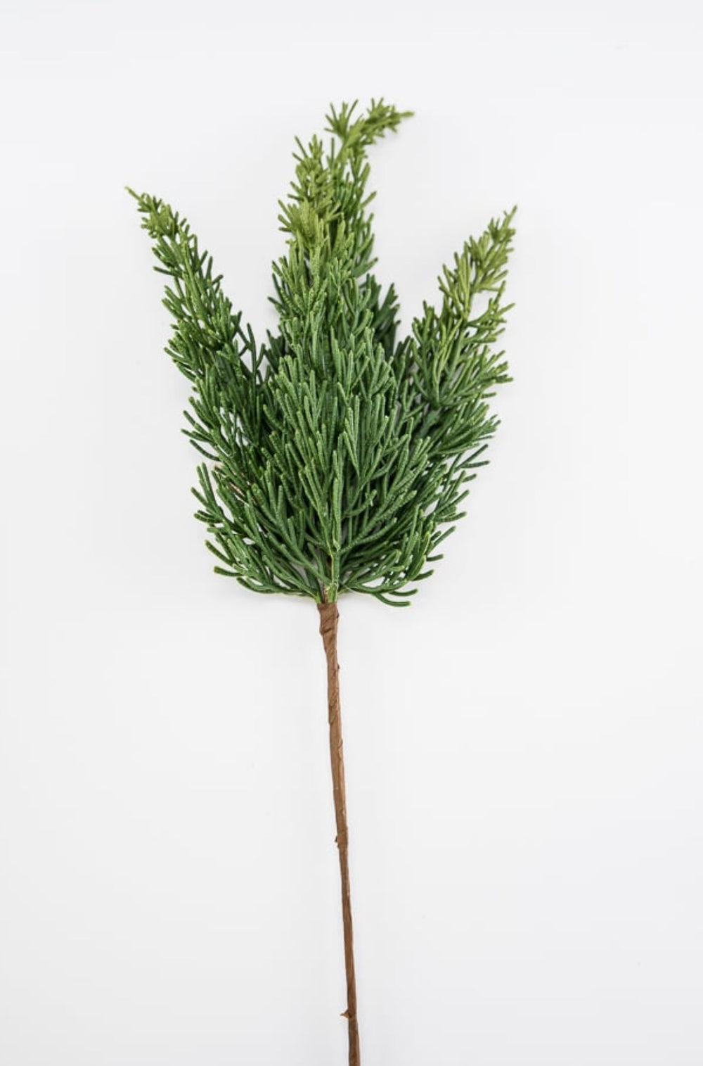 Cedar picks - bulk buy x 6 - Greenery Market2830186GR x 6