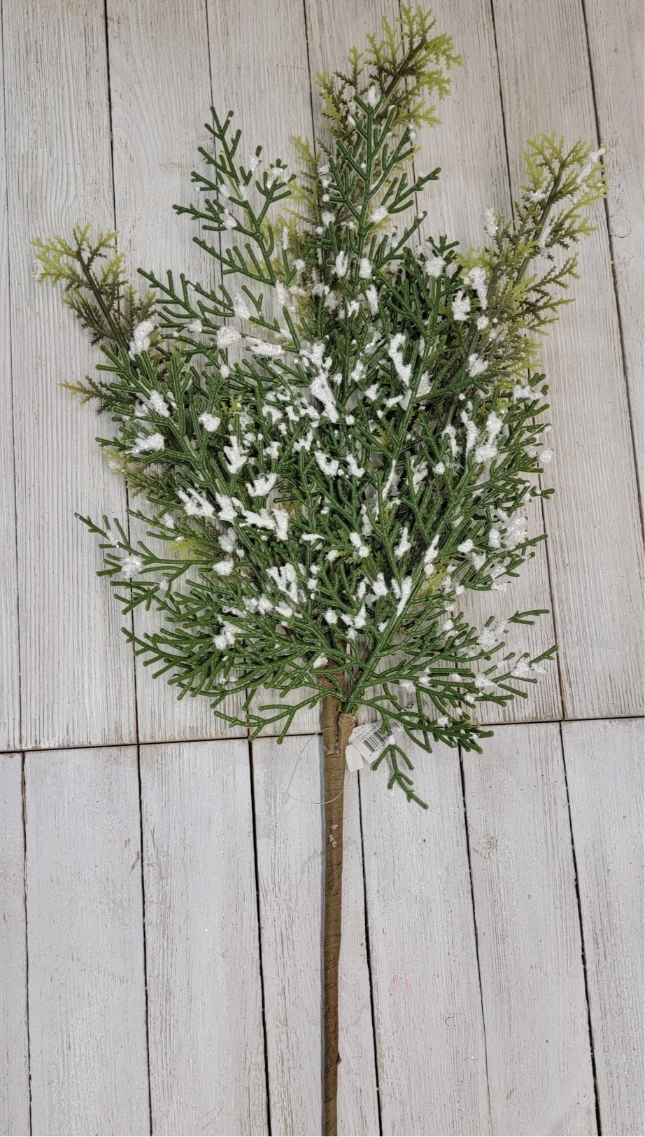 Cedar spray with snow - Greenery MarketgreeneryXS642 - GW