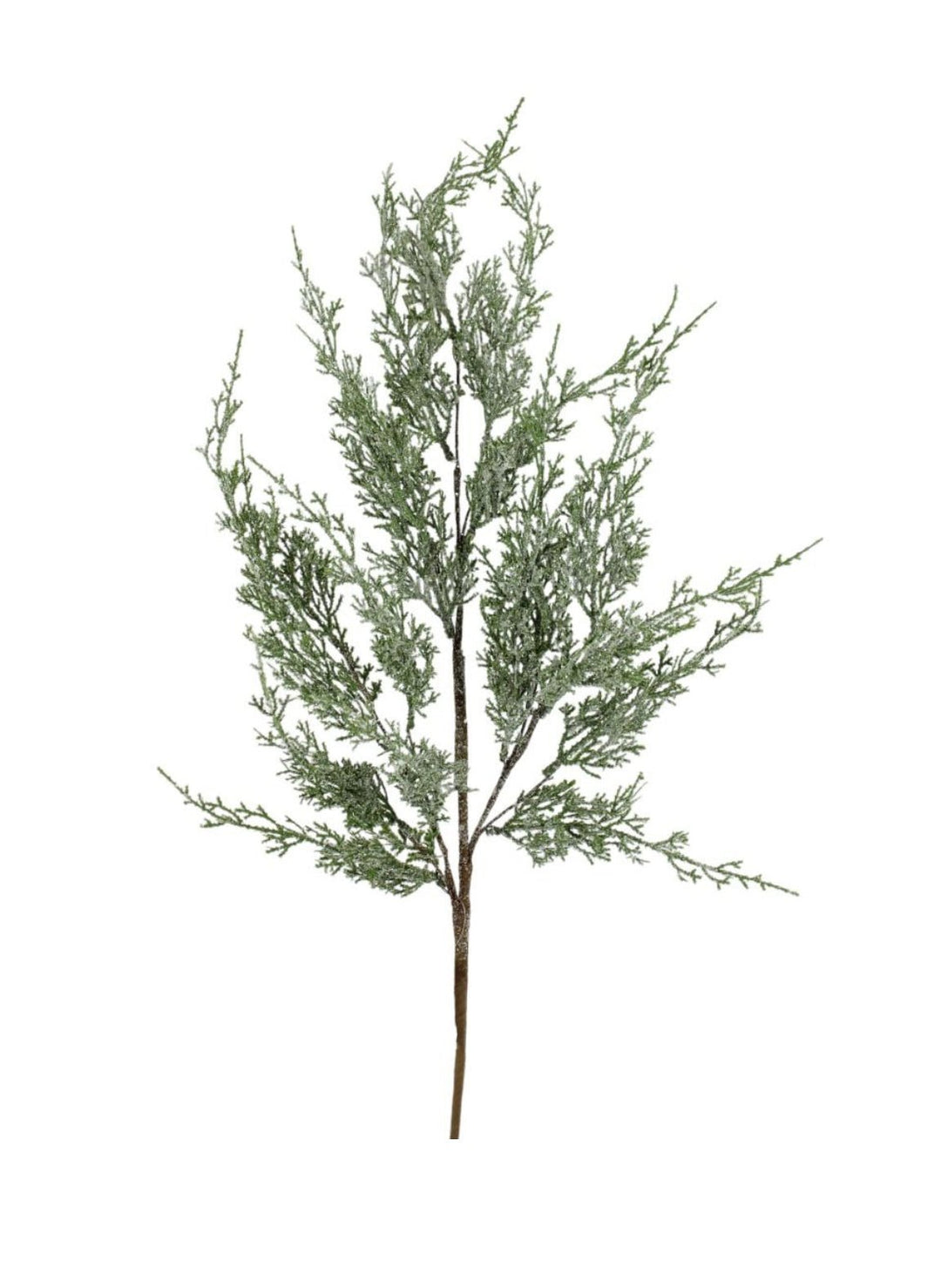 Cedar spray - Greenery MarketArtificial Flora233848