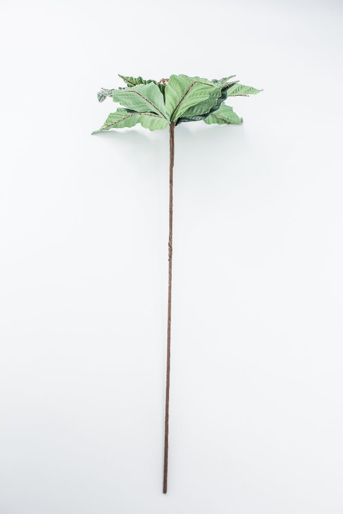Celadon & Champagne Poinsettia Stem - 19" - Greenery MarketArtificial Flowers281587
