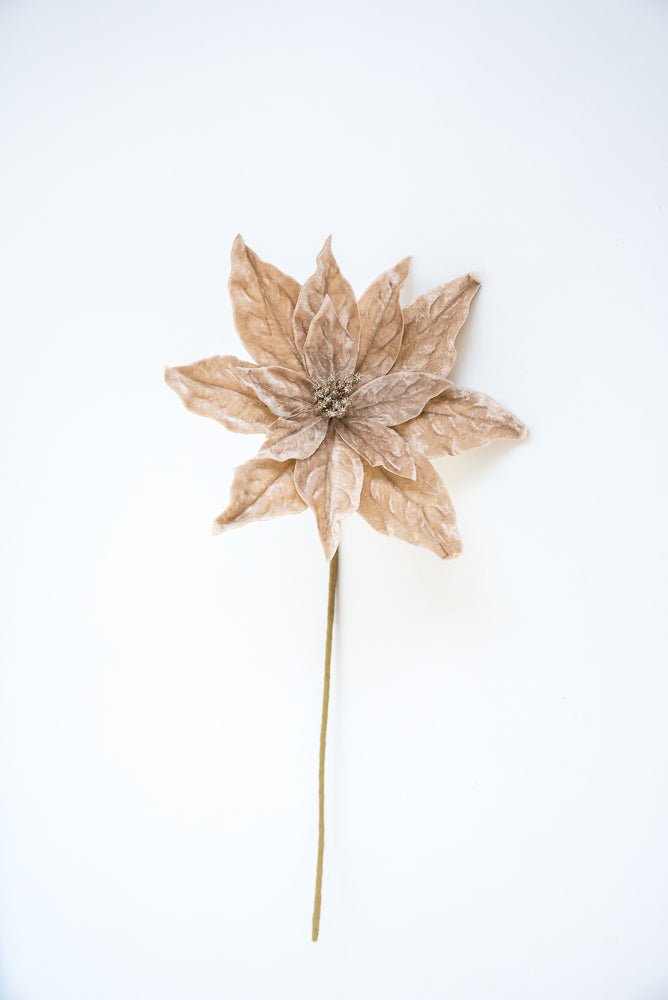 Champagne velvet poinsettia stem - Greenery MarketXS3968
