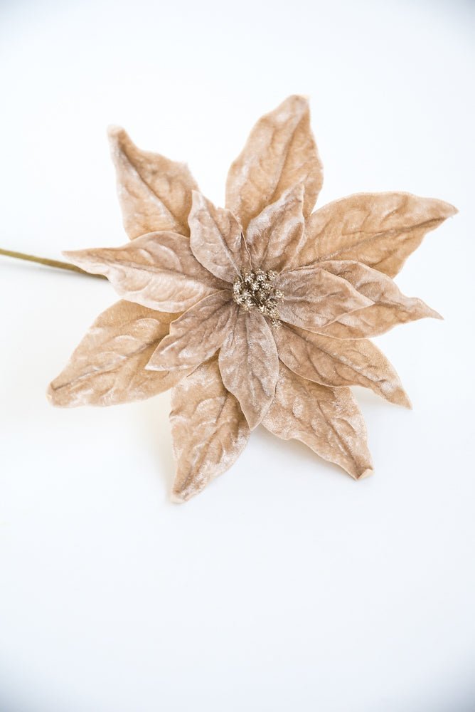 Champagne velvet poinsettia stem - Greenery MarketXS3968