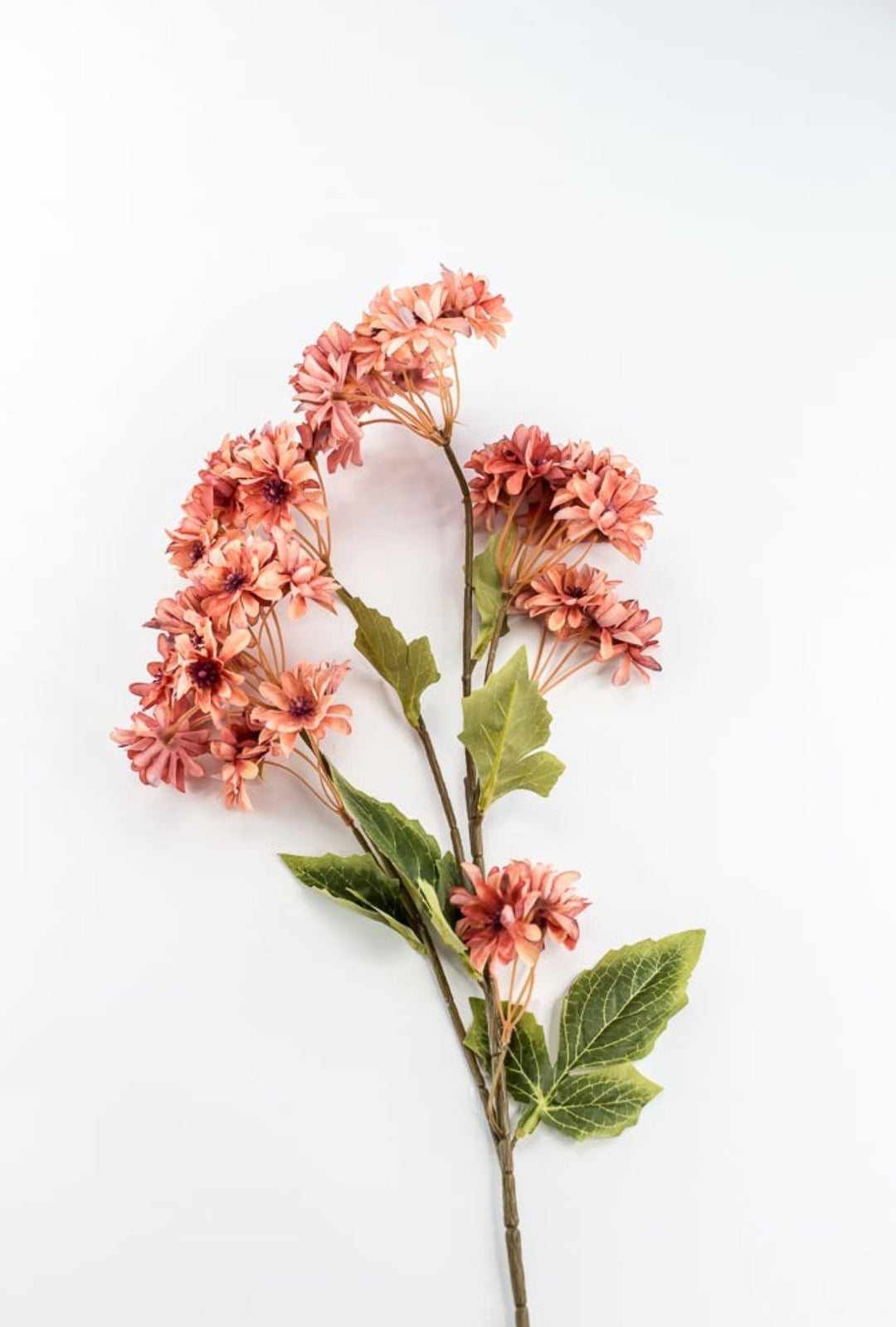 Chrysanthemum Flower spray - salmon - Greenery Market20151-SALMON