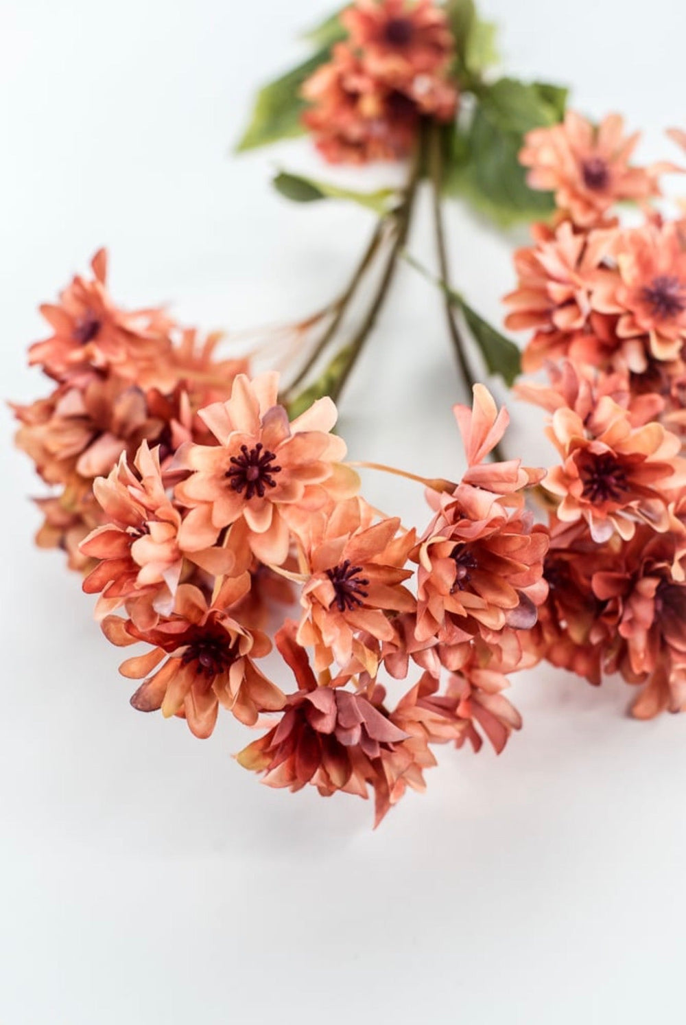 Chrysanthemum Flower spray - salmon - Greenery Market20151-SALMON