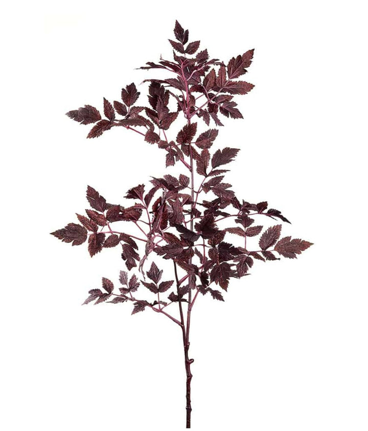 Cimicifuga Ramosa leaf leaves spray - deep plum - Greenery MarketMTH13017 - AUBG