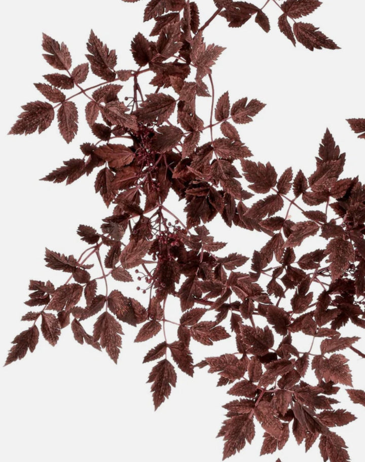 Cimicifuga Ramosa leaves garland - deep plum - Greenery MarketMTH13018 - AUBG