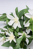 Clematis hanging vine bush - white - Greenery Marketartificial flowers27430