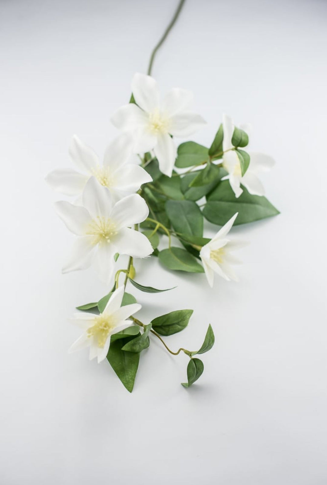 Clematis vine spray - white - Greenery Marketartificial flowers27432