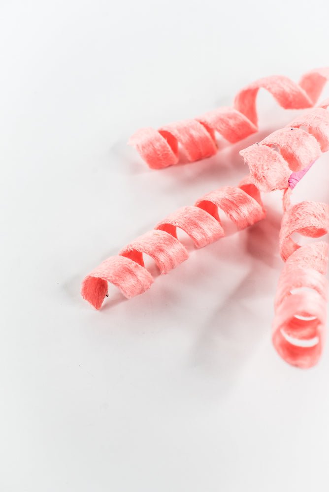 Coral Curly Spray - 16" - Greenery Market63388PH