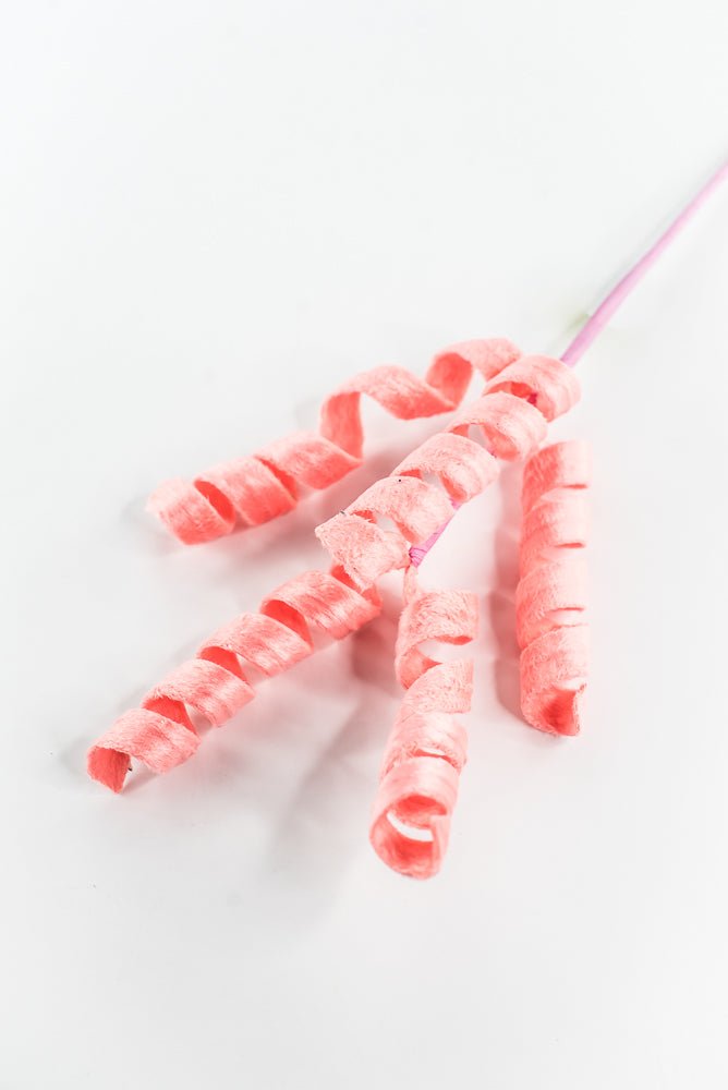 Coral Curly Spray - 16" - Greenery Market63388PH