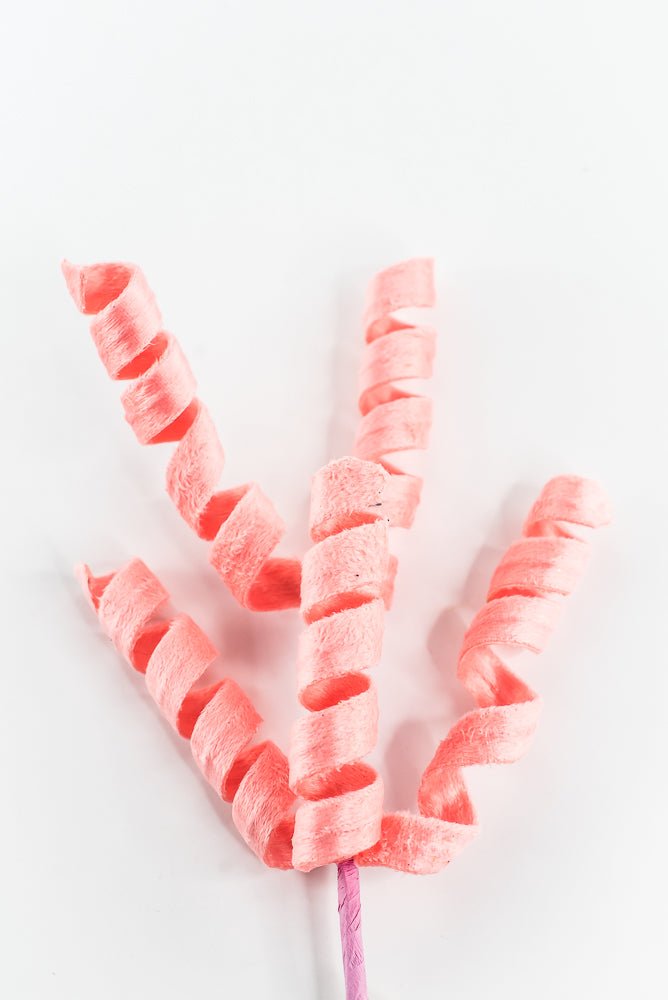 Coral Curly Spray - 16" - Greenery Market63388PH