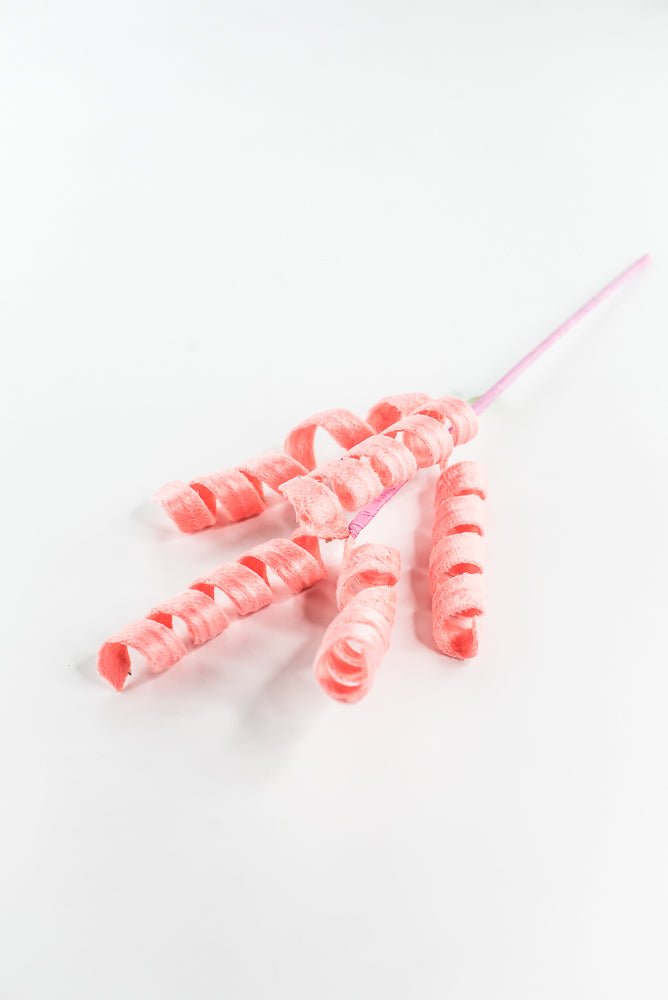 Coral Curly Spray - 16" - Greenery Market63388PH