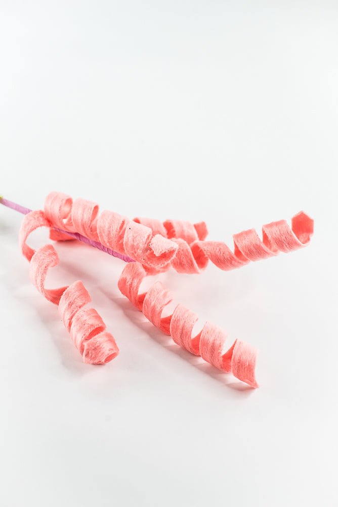 Coral Curly Spray - 16" - Greenery Market63388PH