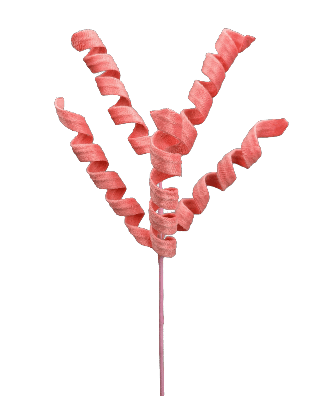 Coral Curly Spray - 16" - Greenery Market63388PH