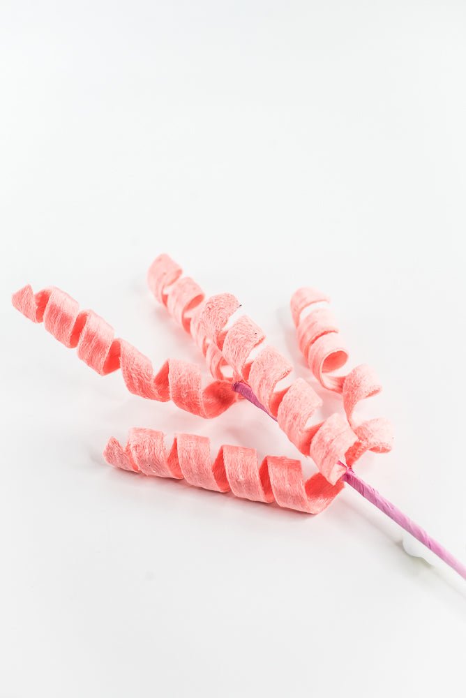 Coral Curly Spray - 16" - Greenery Market63388PH