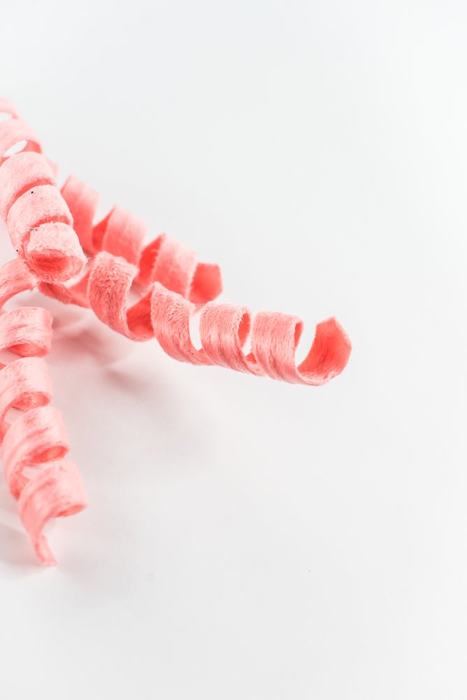 Coral Curly Spray - 16" - Greenery Market63388PH