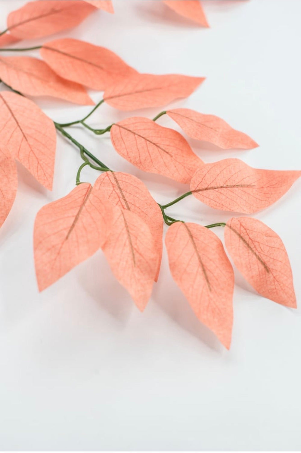 Coral Ficus Sprays Bundle - 23" - Greenery Market85352-CORAL