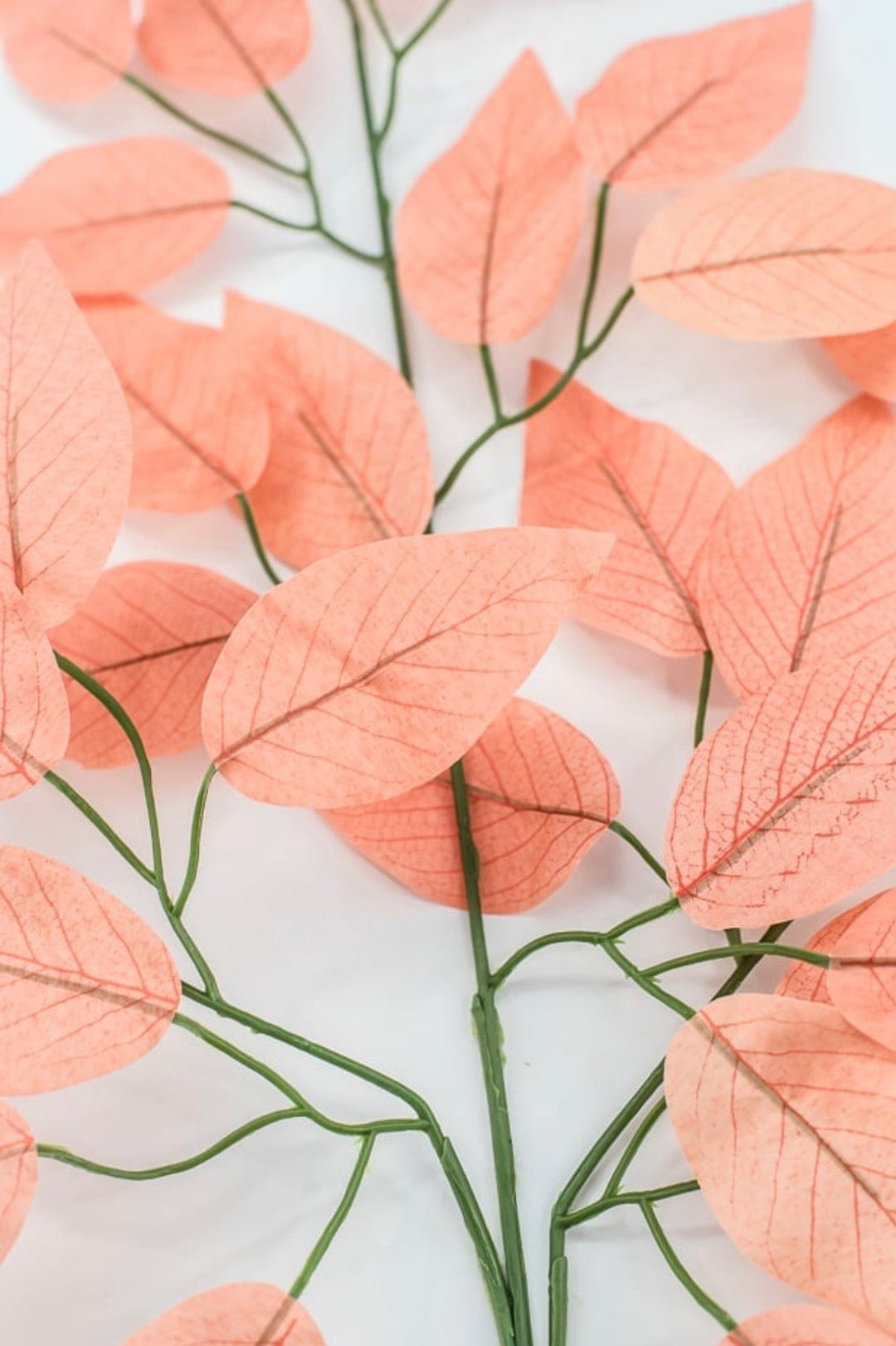 Coral Ficus Sprays Bundle - 23" - Greenery Market85352-CORAL