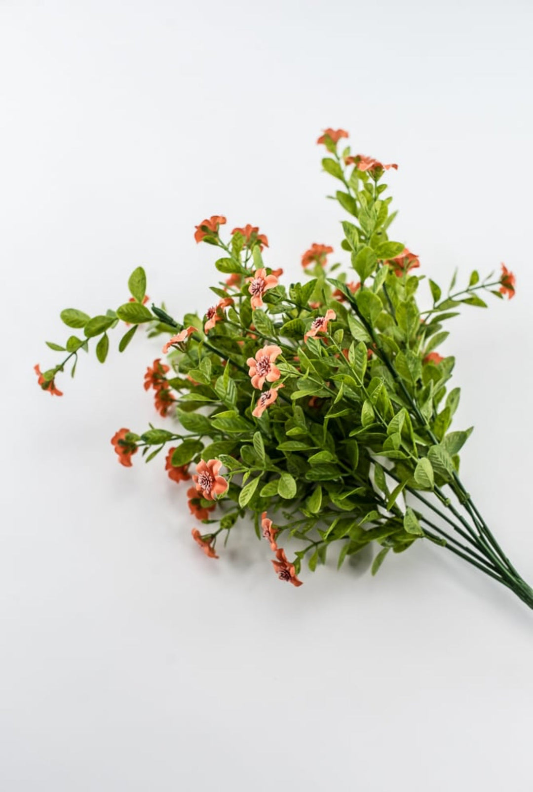 Coral filler flower bush - Greenery Market82396 - CORAL