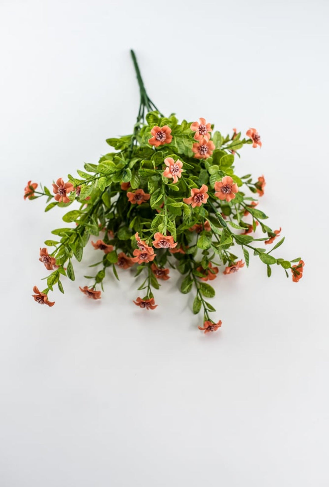 Coral filler flower bush - Greenery Market82396 - CORAL