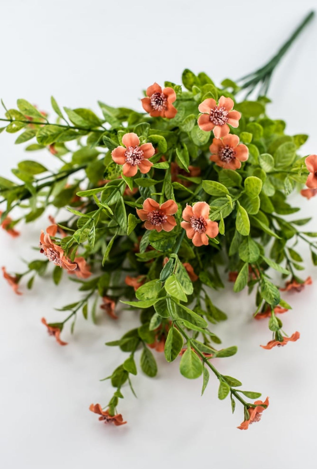 Coral filler flower bush - Greenery Market82396 - CORAL