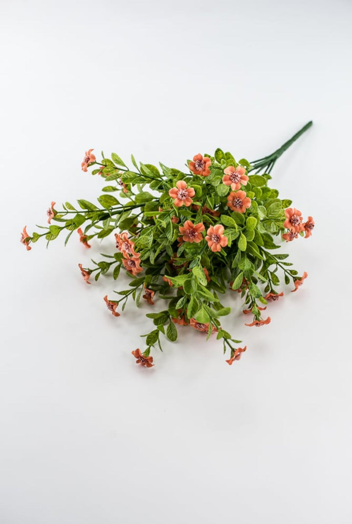Coral filler flower bush - Greenery Market82396 - CORAL