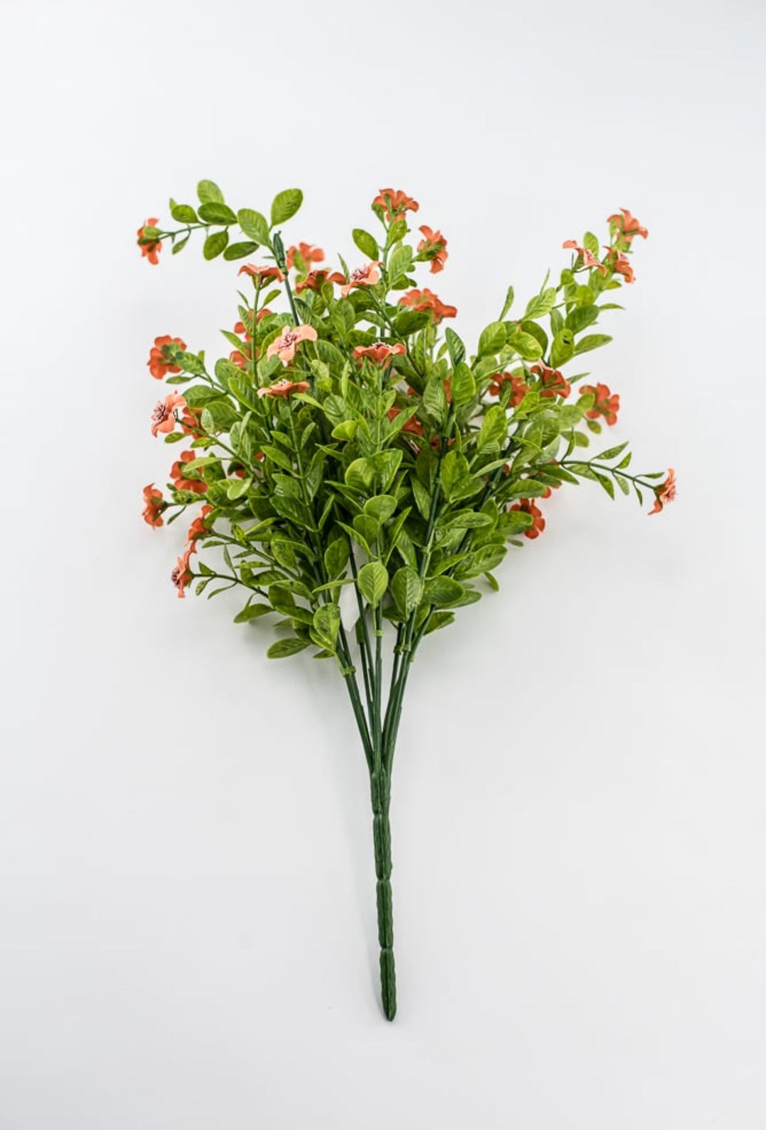 Coral filler flower bush - Greenery Market82396 - CORAL