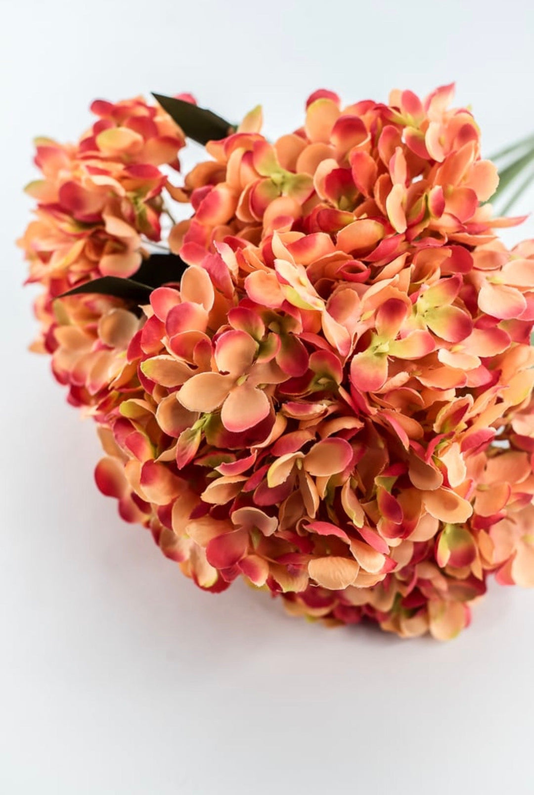 Coral Hydrangea Bush - 19" - Greenery MarketArtificial Flowers35160CO
