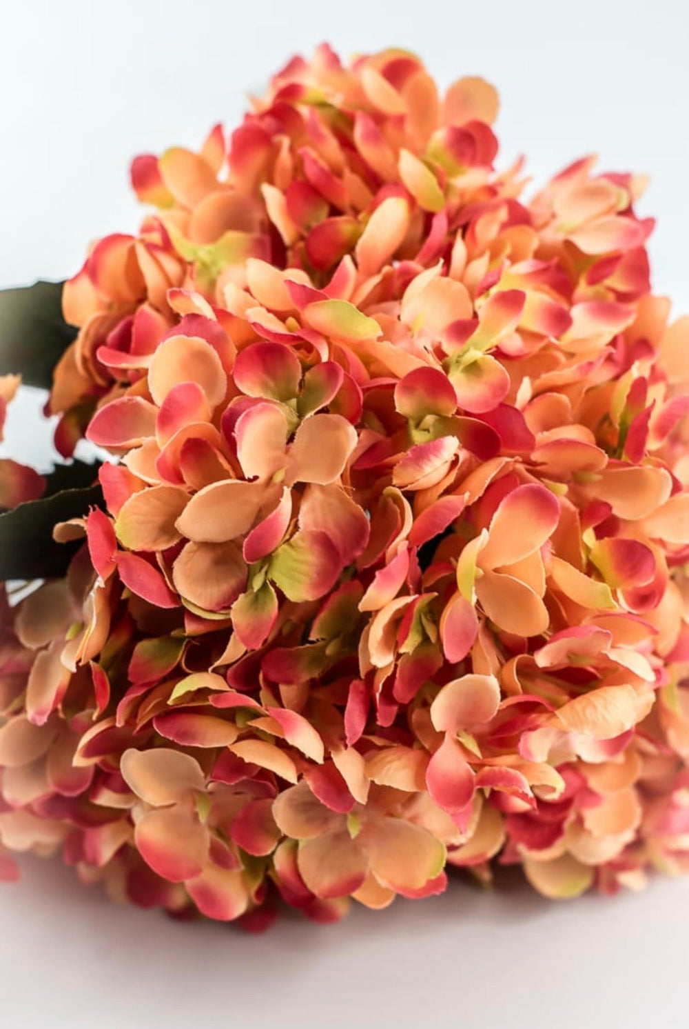 Coral Hydrangea Bush - 19" - Greenery MarketArtificial Flowers35160CO